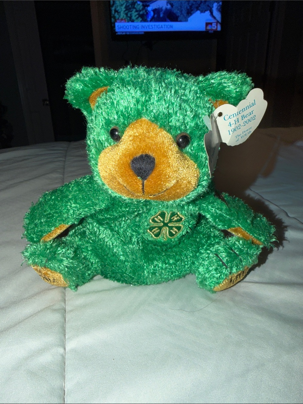 4-H Centennial Commemorative Plush Bear Green Clover 1902 2002 Glory Be 8"